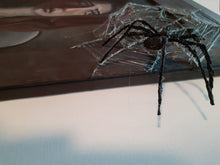 Load image into Gallery viewer, The Girl Scared of Spider
