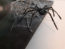 Load image into Gallery viewer, The Girl Scared of Spider
