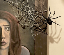 Load image into Gallery viewer, The Girl Scared of Spider
